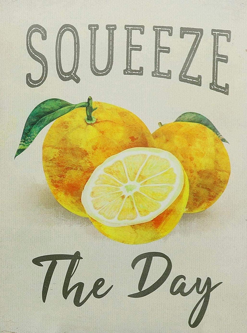 Home Decor Shop - Starotore Squeeze The Day Vintage Metalowy