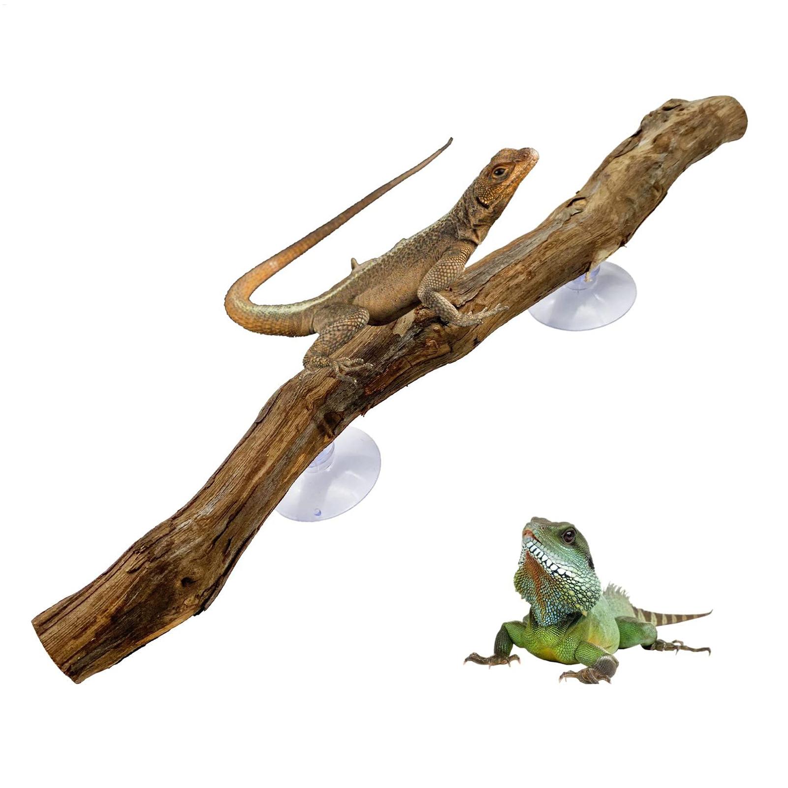 Home Decor Habitat - Narożnik do wspinaczki dla gadów, antypoślizgowe