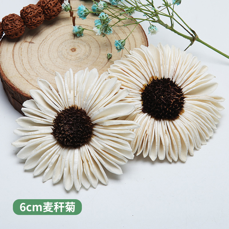 10 SZTUK Afrykańska stokrotka  – Home Decor Daisy recenzja i cena