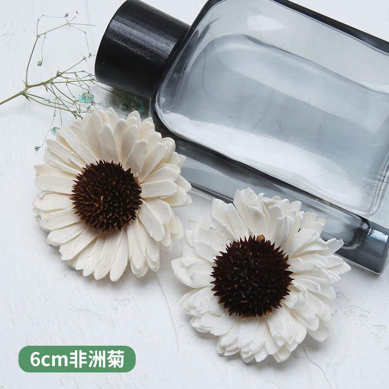 10 SZTUK Afrykańska stokrotka  – Home Decor Daisy recenzja i cena