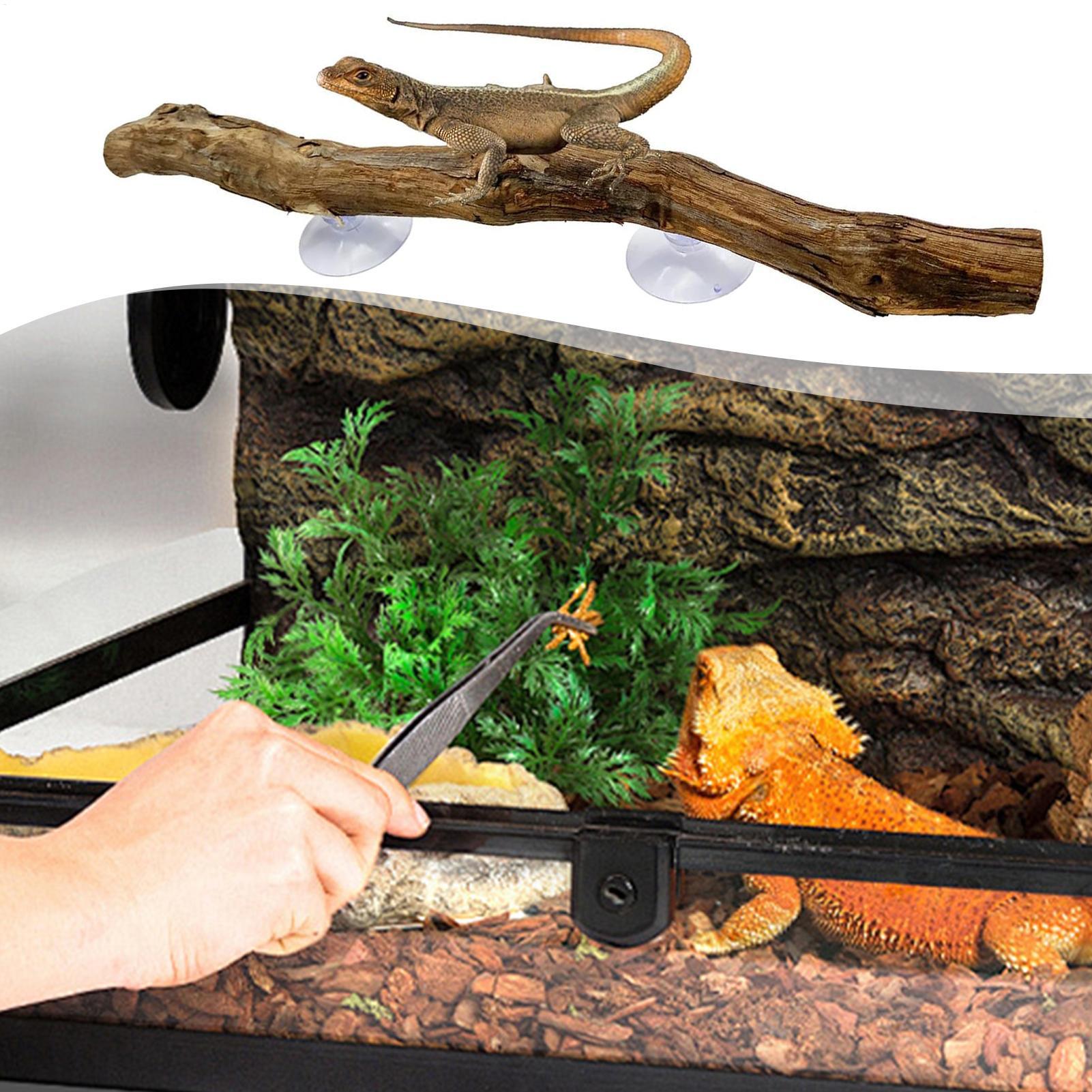 Drewniana gałąź do wspinaczki  – Home Decor Habitat recenzja i cena