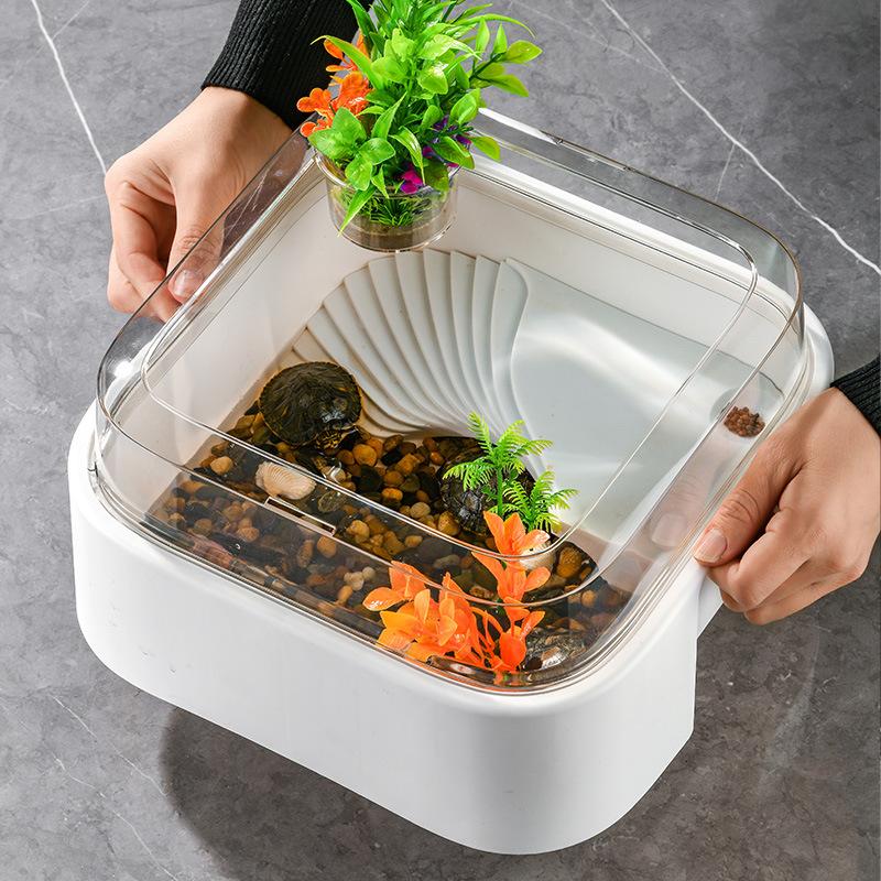 Przezroczysty terrarium dla żó – Home Decor Habitat recenzja i cena