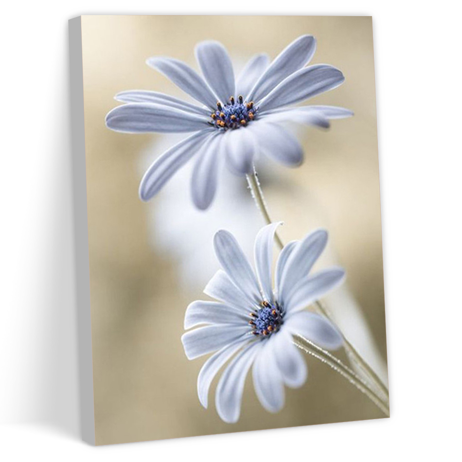CHENISTORY Proste Malowanie Po – Home Decor Daisy recenzja i cena