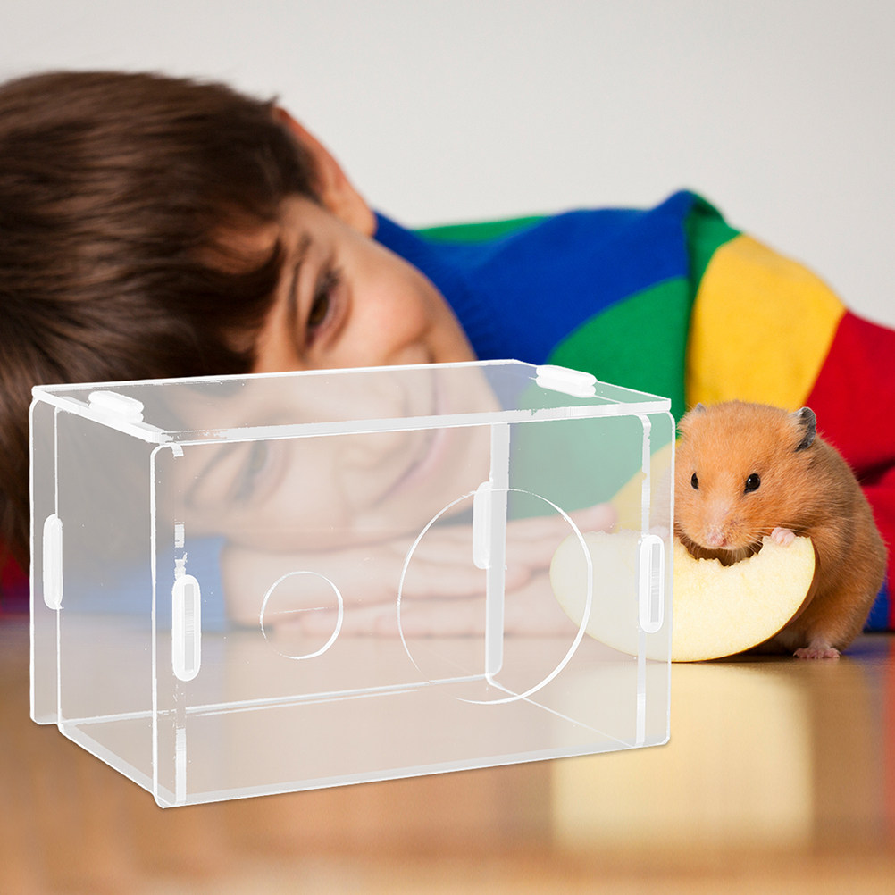 Przezroczysta akrylowa kryjówk – Home Decor Habitat recenzja i cena
