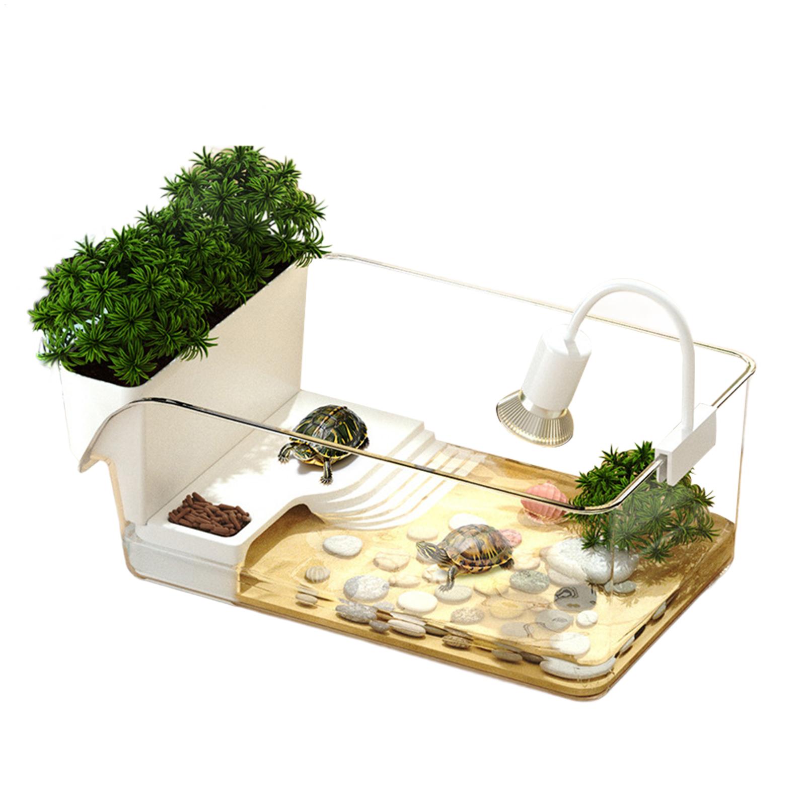 Przezroczysty terrarium dla żó – Home Decor Habitat recenzja i cena