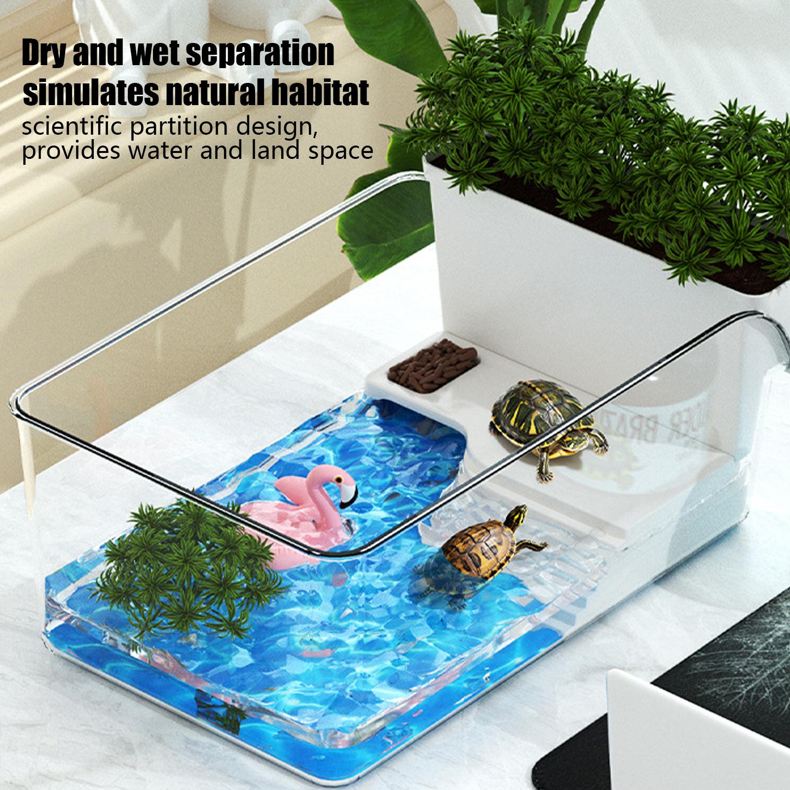 Przezroczysty terrarium dla żó – Home Decor Habitat recenzja i cena