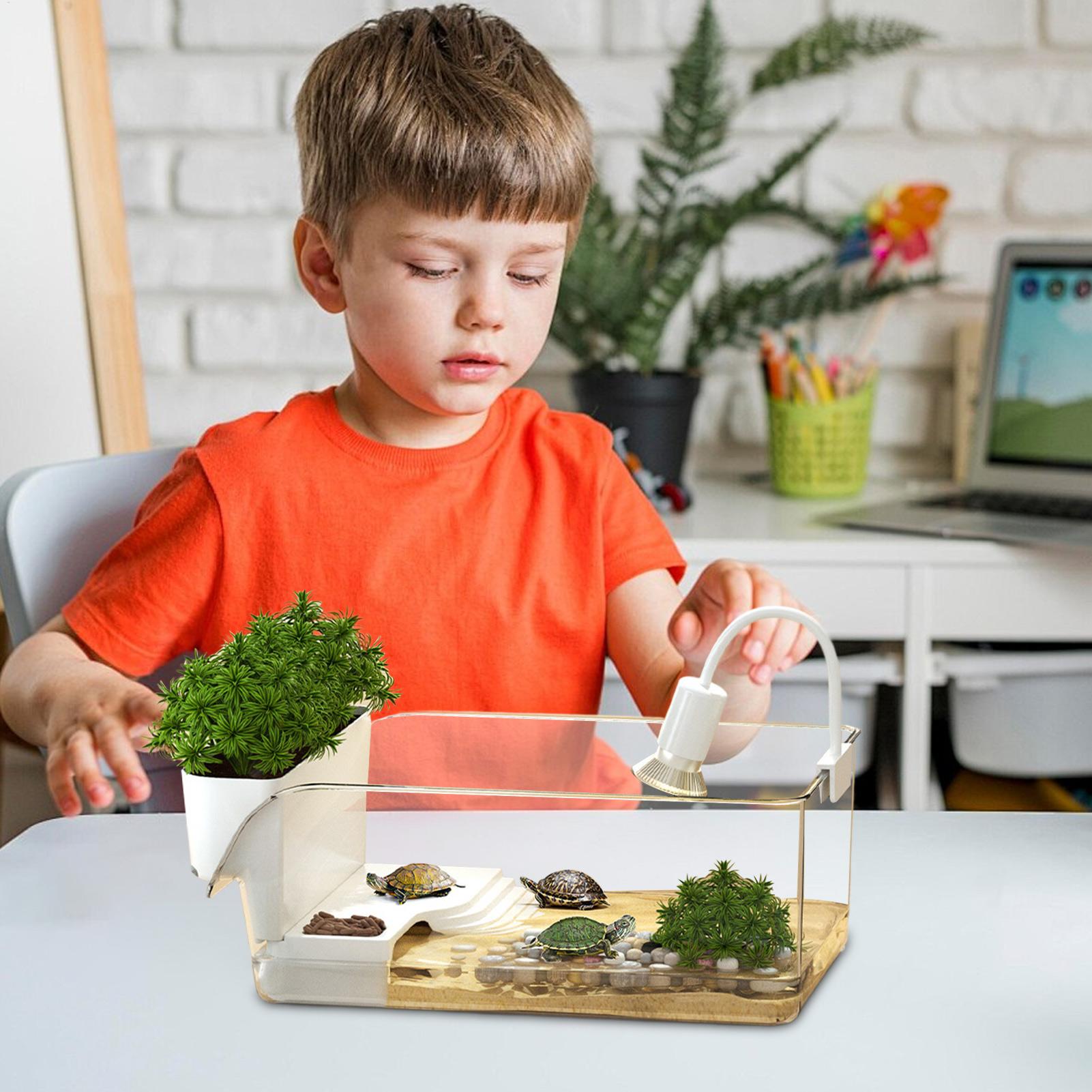 Przezroczysty terrarium dla żó – Home Decor Habitat recenzja i cena