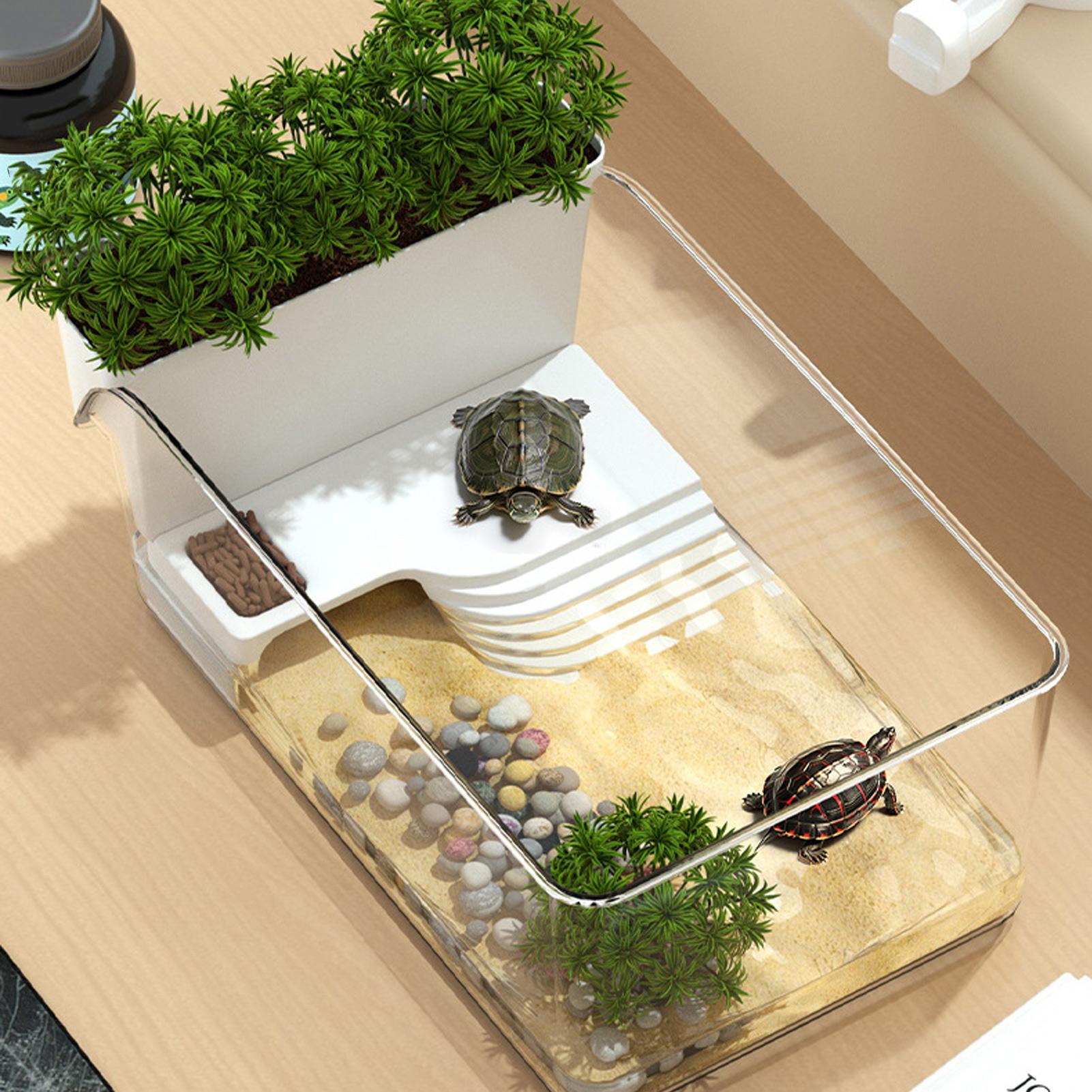 Przezroczysty terrarium dla żó – Home Decor Habitat recenzja i cena